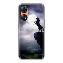 Чехлы с изображением разных животных для Oppo Reno 8T (Лошадь)