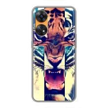 Чехлы с изображением разных животных для Oppo Reno 8T (Яркий Тигр)