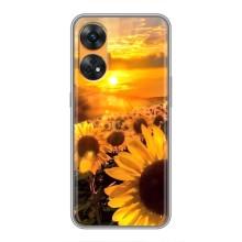 Чехол с Цветами для Oppo Reno 8T (поле подсолнухов)