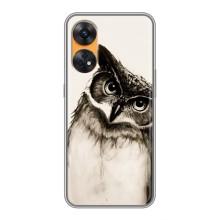 Чехол с птицами на Oppo Reno 8T (VPrint) (Сова)