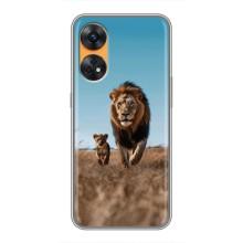 Чохол Король лев на OPPO Reno 8Т (Мусафа і Сімба)