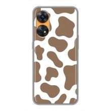 Чехол с принтом коровы на Оппо Рено 8Т – Коричневый принт