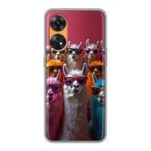 Чохол з принтом стильні тварини для OPPO Reno 8Т – Лами в окулярах