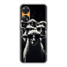 Чохол з принтом стильні тварини для OPPO Reno 8Т – Овечка в окулярах