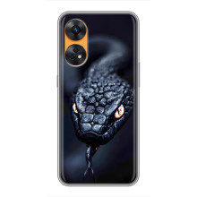 Чехол с картинкой «Хищники» для Oppo Reno 8T – Змея