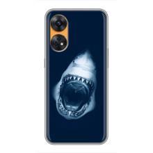 Силиконовый бампер с картинкой животных для Oppo Reno 8T (Пасть Акулы)