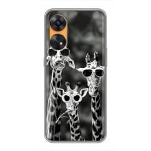 Силиконовый чехол с КАРТИНКАМИ лето для Oppo Reno 8T (AlphaPrint) (Жирафы в очках)
