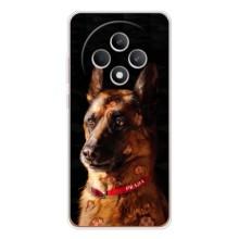 Чохли з картинкою животних OPPO Reno12 F (Овчарка)