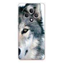 Чохли з картинкою животних OPPO Reno12 F (Вовк)