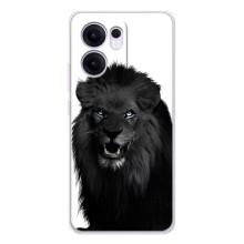 Чохли з картинкою животних OPPO Reno13 F (Чорний ЛЕВ)