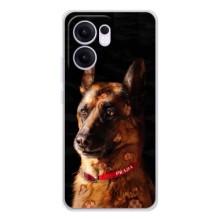 Чохли з картинкою животних OPPO Reno13 F (Овчарка)