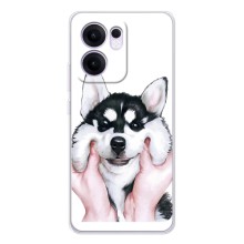 Бампер для OPPO Reno13 F з картинкою "Песики" (Собака Хаскі)