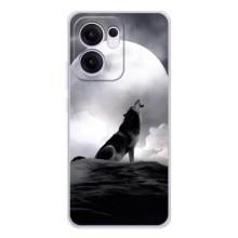 Чехол с Волком на OPPO Reno13 F – Волк и луна