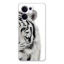 Чехлы с картинками животных OPPO Reno13 FS 5G (Белый Тигр)