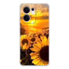 Чехол с Цветами для OPPO Reno13 FS 5G (поле подсолнухов)