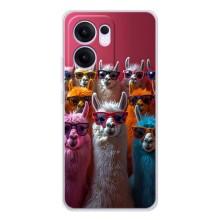 Чохол з принтом стильні тварини для Рено 13 ФС 5G (Лами в окулярах)