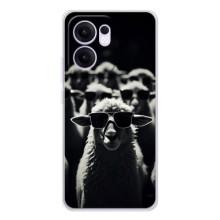 Чохол з принтом стильні тварини для Рено 13 ФС 5G (Овечка в окулярах)
