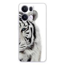 Чехлы с картинками животных OPPO Reno13 Pro (Белый Тигр)