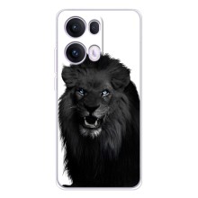 Чехлы с картинками животных OPPO Reno13 Pro