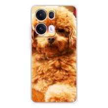 Чехлы с собаками для OPPO Reno13 Pro (VPrint) – Щенок Бишон