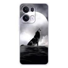 Чехол с Волком на OPPO Reno13 Pro – Волк и луна