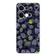 Чехлы с Фруктами для OPPO Reno13 (VPrint) (Ежевика)
