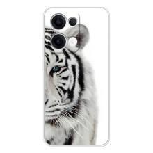 Чехлы с картинками животных OPPO Reno13 (Белый Тигр)