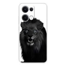 Чехлы с картинками животных OPPO Reno13 (Черный ЛЕВ)