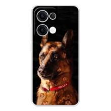 Чехлы с картинками животных OPPO Reno13 (Овчарка)