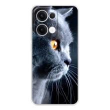 Чехлы с Котиками для OPPO Reno13 (VPrint) (Серый Кот)