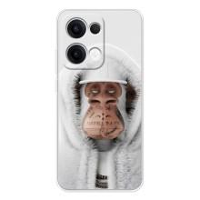 Чохли з Мавпами NFT для OPPO Reno13 (AlphaPrint)