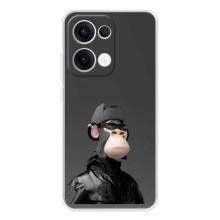 Чохли з Мавпами NFT для OPPO Reno13 (AlphaPrint)