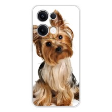 Чохол (ТПУ) Милі песики для OPPO Reno13 (Пес Терьєр)