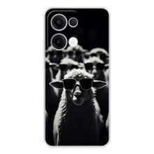 Чехол с принтом стильные животные для Оппо Рено 13 (Овечка в очках)