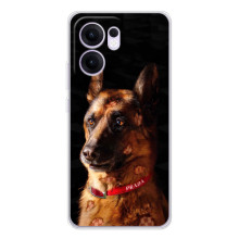 Чохли з картинкою животних OPPO Reno14 F (Овчарка)