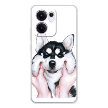 Бампер для OPPO Reno14 F з картинкою "Песики" (Собака Хаскі)