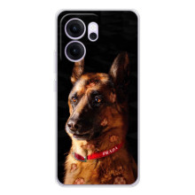 Чехлы с картинками животных OPPO Reno 14 FS (Овчарка)