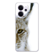 Чехлы с картинками животных OPPO Reno 14 FS (Рысь)