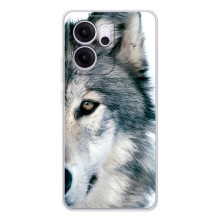 Чехлы с картинками животных OPPO Reno 14 FS (Волк)