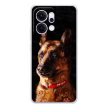 Чохли з картинкою животних OPPO Reno14 Pro (Овчарка)