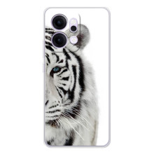 Чехлы с картинками животных OPPO Reno14 (Белый Тигр)
