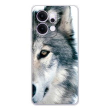 Чехлы с картинками животных OPPO Reno14 (Волк)