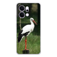 Силиконовый чехол с птичкой на OPPO Reno14 – Лелека