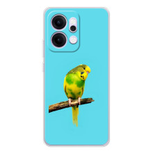 Силиконовый чехол с птичкой на OPPO Reno14 – Попугайчик