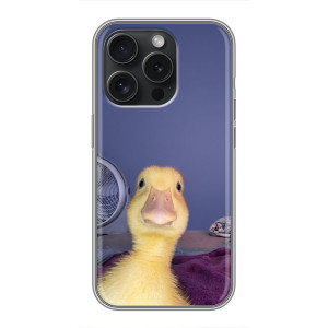 Бампер с принтом Мемы для OPPO Reno15 Pro – Утка