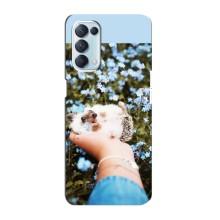 Чохли з зображенням різних тварин на Oppo Reno5 4G (Їжачок в руці)