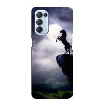 Чохли з зображенням різних тварин на Oppo Reno5 4G (Кінь)