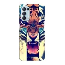 Чохли з зображенням різних тварин на Oppo Reno5 4G (Яскравий Тигр)