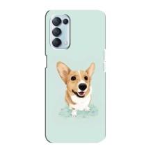 Чехлы с собаками для Oppo Reno5 4G (VPrint) – Корги