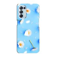 Чохол з Квітами для Oppo Reno5 4G (ромашки на блакитному)